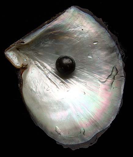 Black Pearl Cosmetics - pearl powder